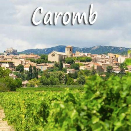 Belle Maison Provencale Au Pied Du Mont Ventoux Caromb Zewnętrze zdjęcie