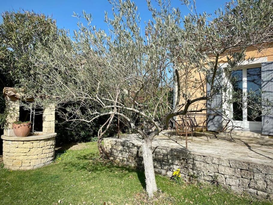Belle Maison Provencale Au Pied Du Mont Ventoux Caromb Zewnętrze zdjęcie