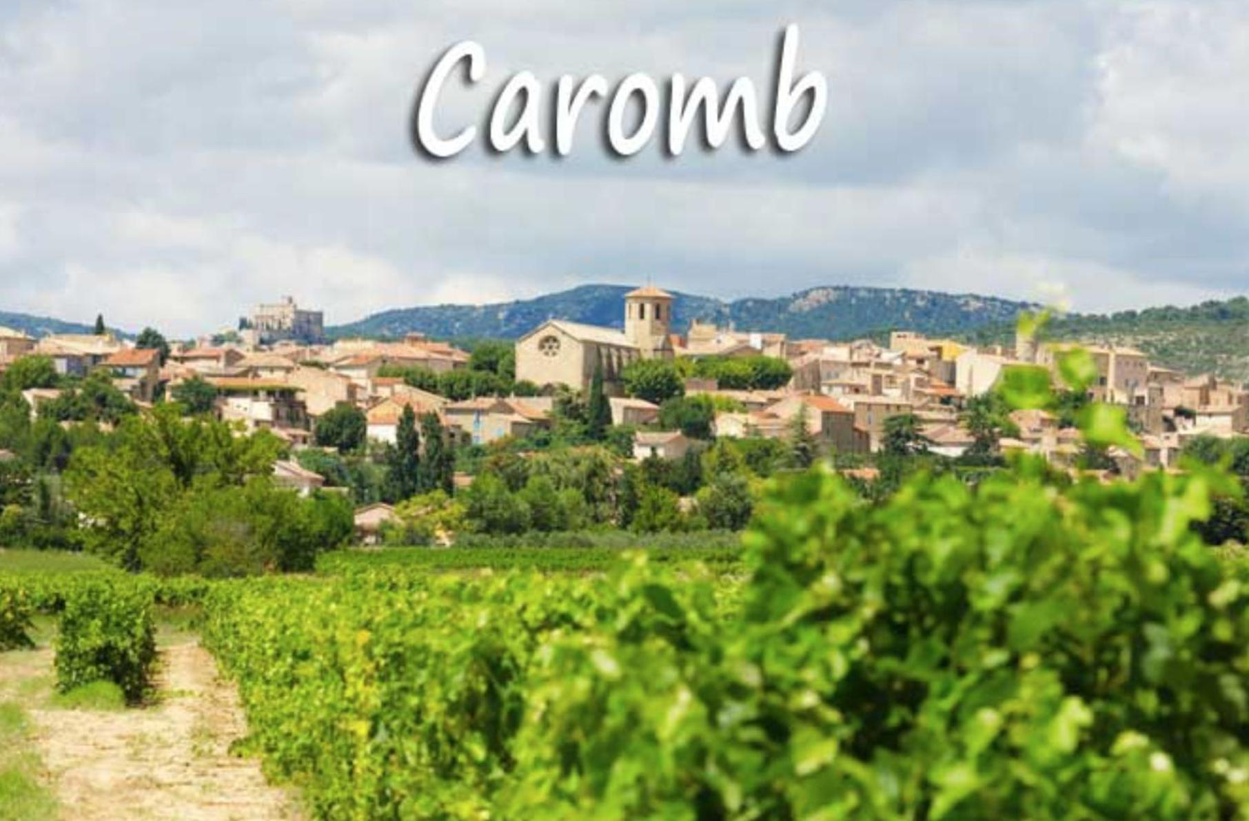 Belle Maison Provencale Au Pied Du Mont Ventoux Caromb Zewnętrze zdjęcie